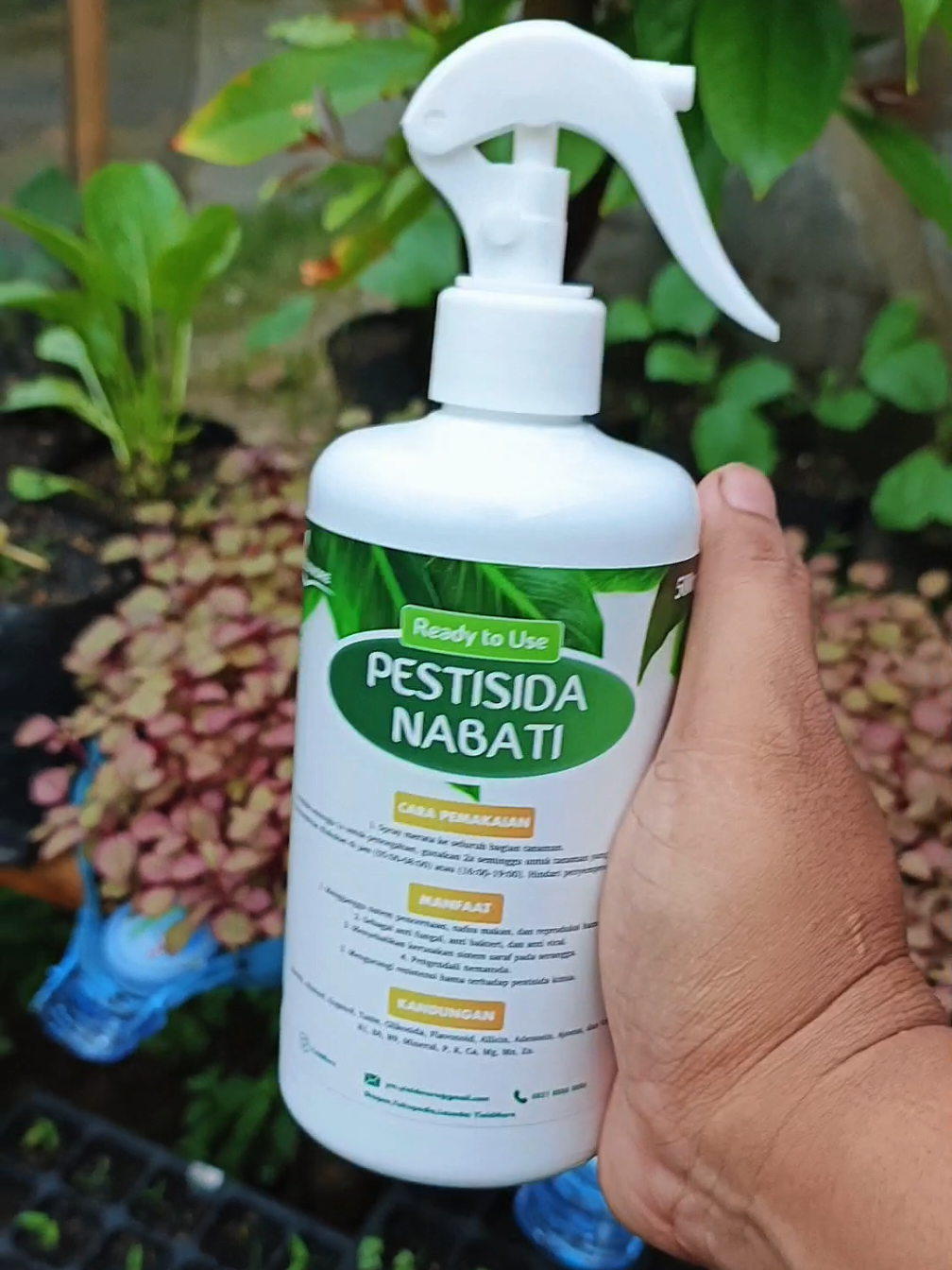Panen terganggu hama? Jangan biarkan masalah ini terus terjadi! 🌾✨ Dengan Yeild, pestisida nabati yang 100% alami, hama hilang tanpa merusak lingkungan. Aman untuk tanaman, manusia, dan ramah lingkungan. 🌱🌍 Yuk, jaga kualitas panenmu dan lingkungan sekaligus! Pesan sekarang dan rasakan manfaatnya! #pesnab #pestisida #pestisidanabati #ampuh  #taniboom #cuantanpabatas #wibgajian #januari  #PestisidaNabati #yeildmore  #PertanianModern #RamahLingkungan #TanamanSehat #PanenBerkualitas #HamaPergi #PetaniCerdas #SolusiAlami #Agribisnis #PertanianSehat
