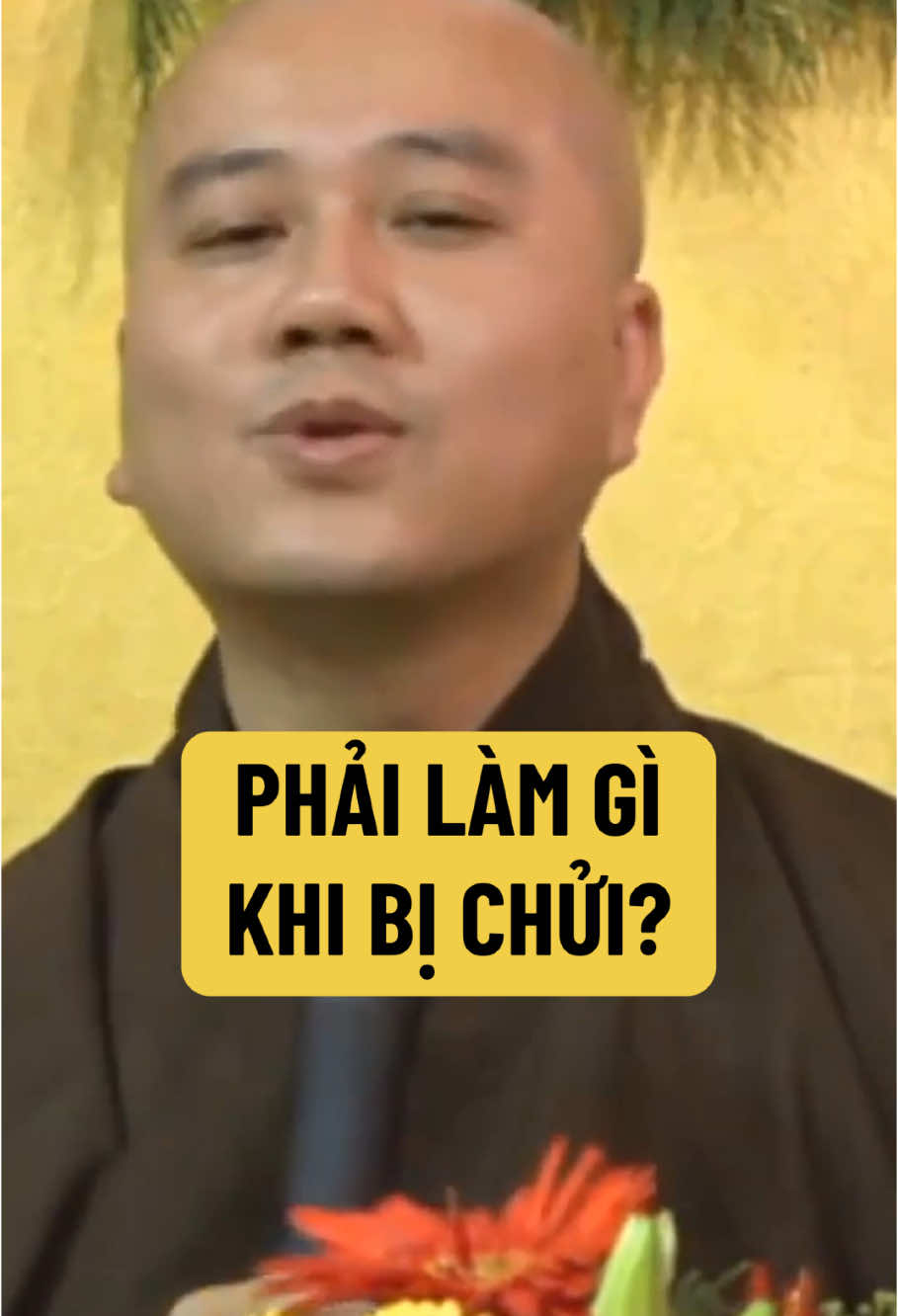 Phải làm gì khi bị m.ắng ch.ử.i? #phapthoai #phatphap #phatgiao #daophat #thichphaphoa #thayphaphoa #suutamphapthoai #tuehung 