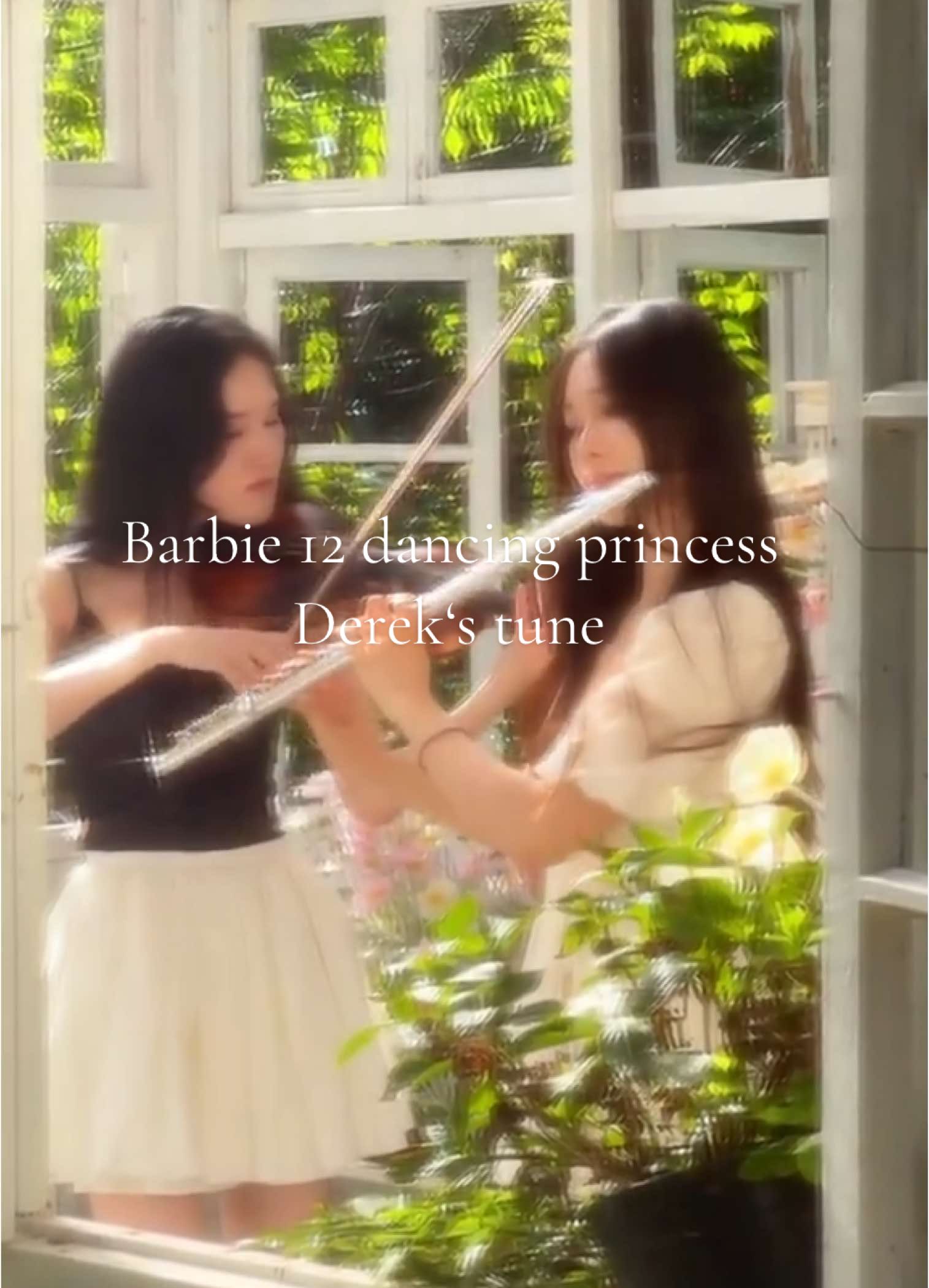 Derek’s Tune | Barbie in 12 dancing Princesses  flûte et violon duo #flute #violin #duo#barbie #12dancingprincesses #noralflute 