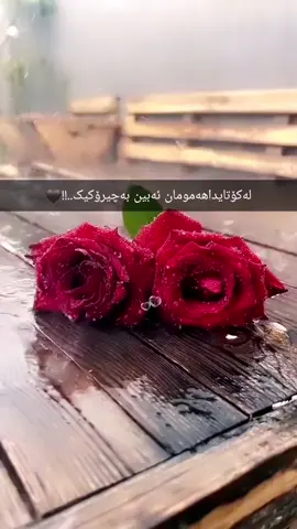##
