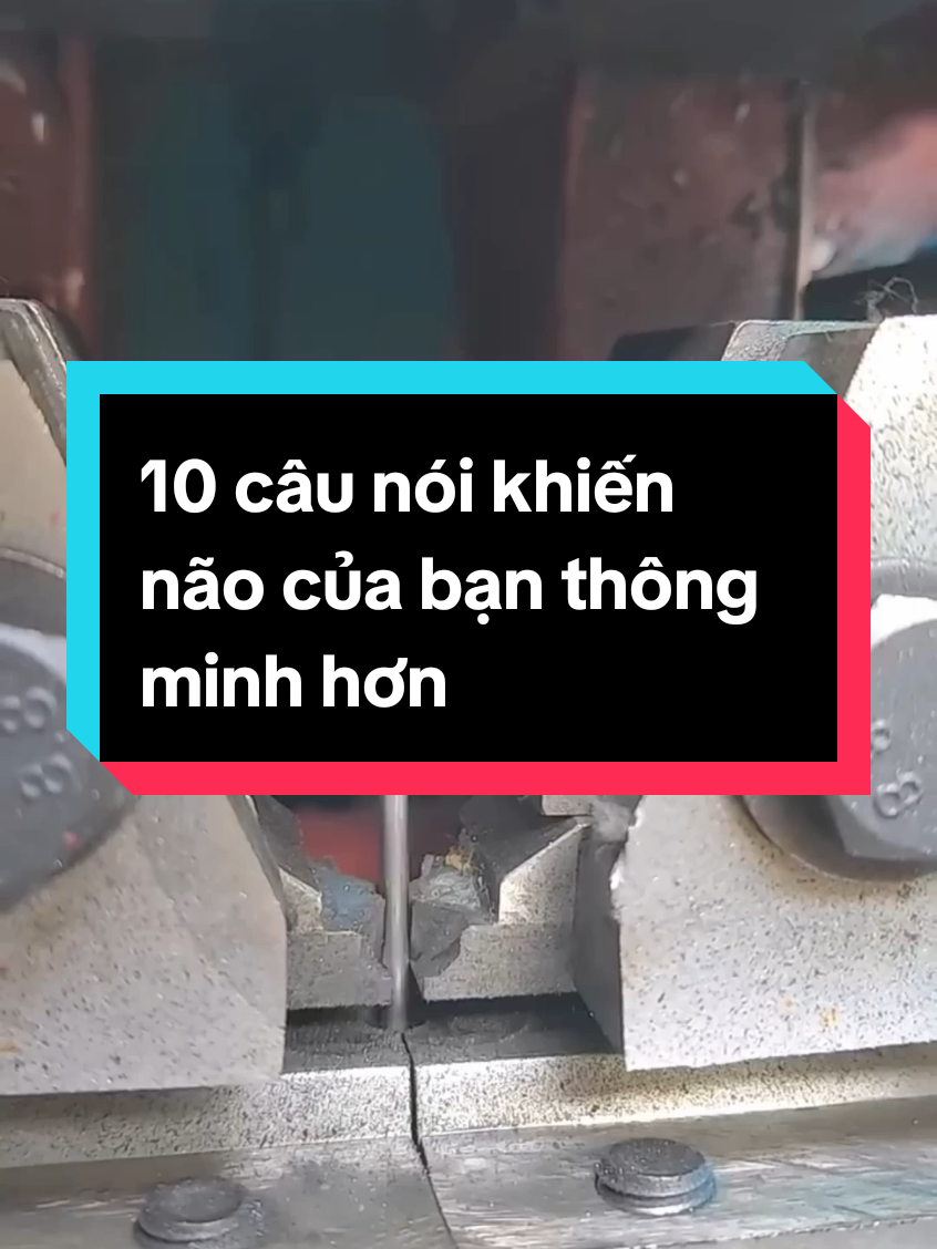 10 câu nói khiến não của bạn thông minh hơn #sachhay #baihoccuocsong #trietlycuocsong #trietlysong 