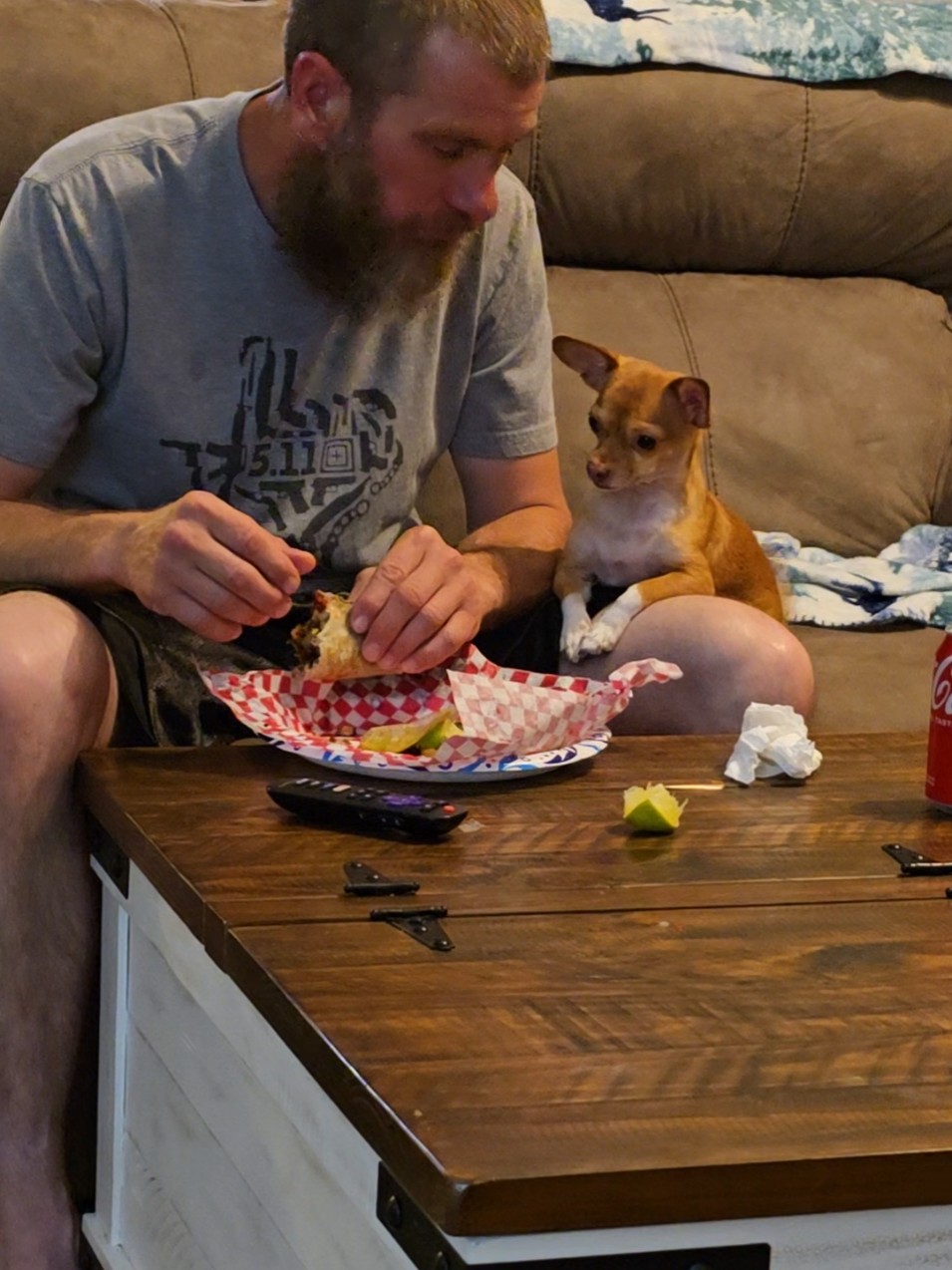 His silent bark and little taps for food crack me up. He says give me tacos now! #fyp #mansbestfriend #animalsoftiktok #cutedog #PetsOfTikTok #animals #chihuahua #food #tacos 