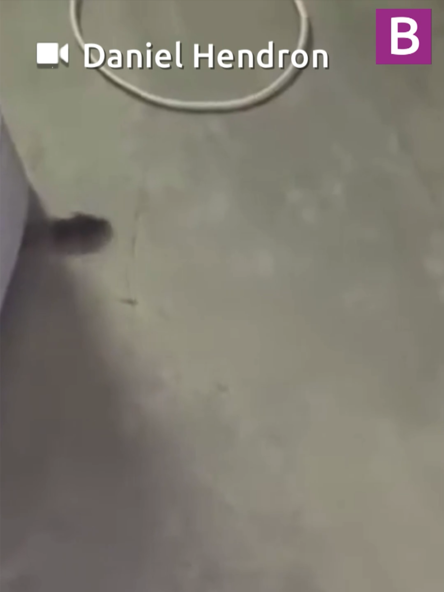 A 'disgusted' patient claimed a ward at Walsall Manor Hospital was 'infested with mice'. Daniel Hendron said the rodents were 'running around every night'. #news #birmingham #westmidlands #mice #hospital