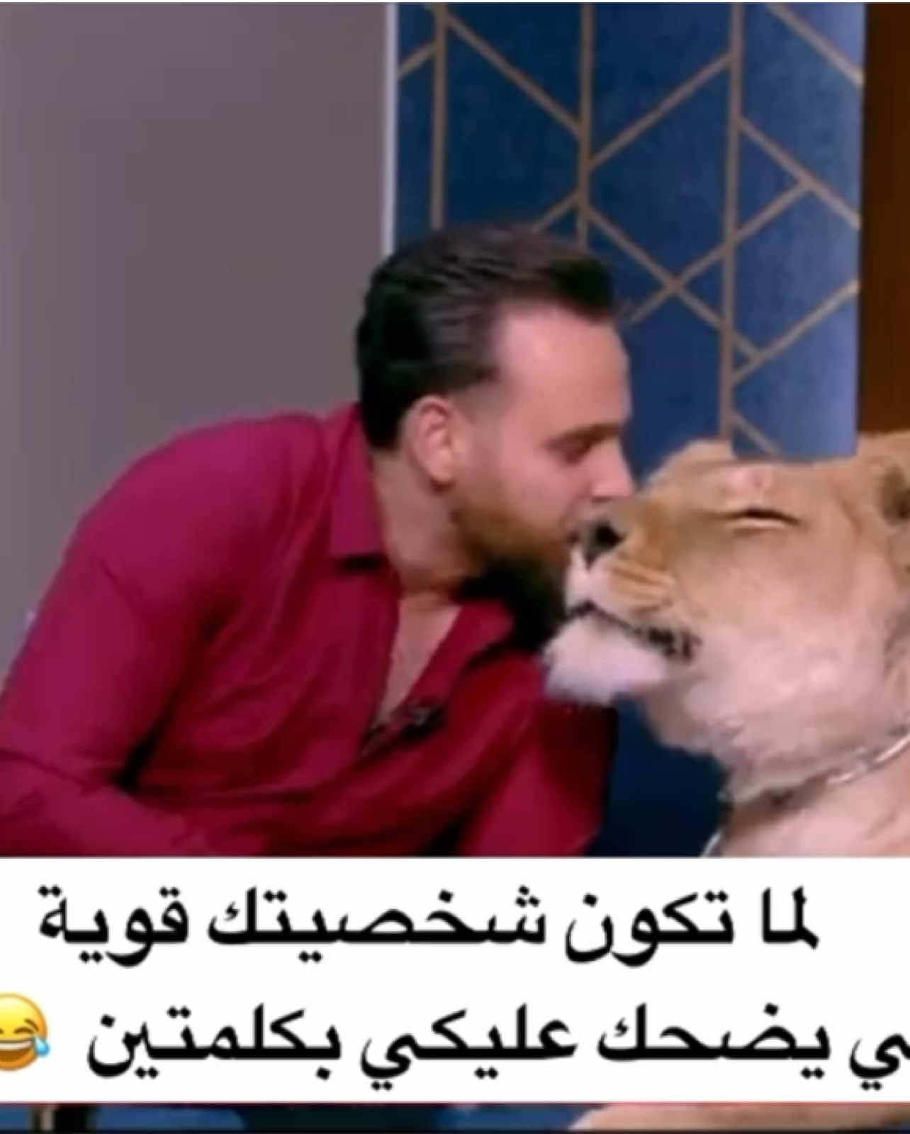 لما تكون شخصيتك قوية - ويجي يضحك عليكي بكلمتين 😂😂 #الشعب_الصيني_ماله_حل😂😂 #محمد_اليماني #مدرب_الاسود #اكسبلور #الشيررر #تيك_توك 