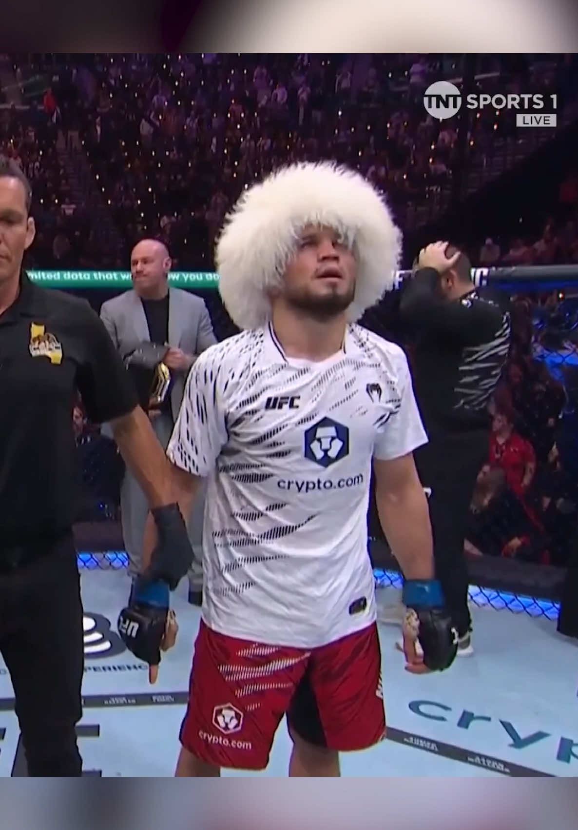 Khabib thought Umar Nurmagomedov may have done it against Merab at #UFC311 😳❌ He even went to collect the belt from Dana 😓 #UFC #mma #khabib #nurmagomedov #khabibnurmagomedov #ko #knockout #fight #boxing