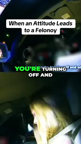#bodycam #bodycamhub #arrested #felon #dui #cops #police 