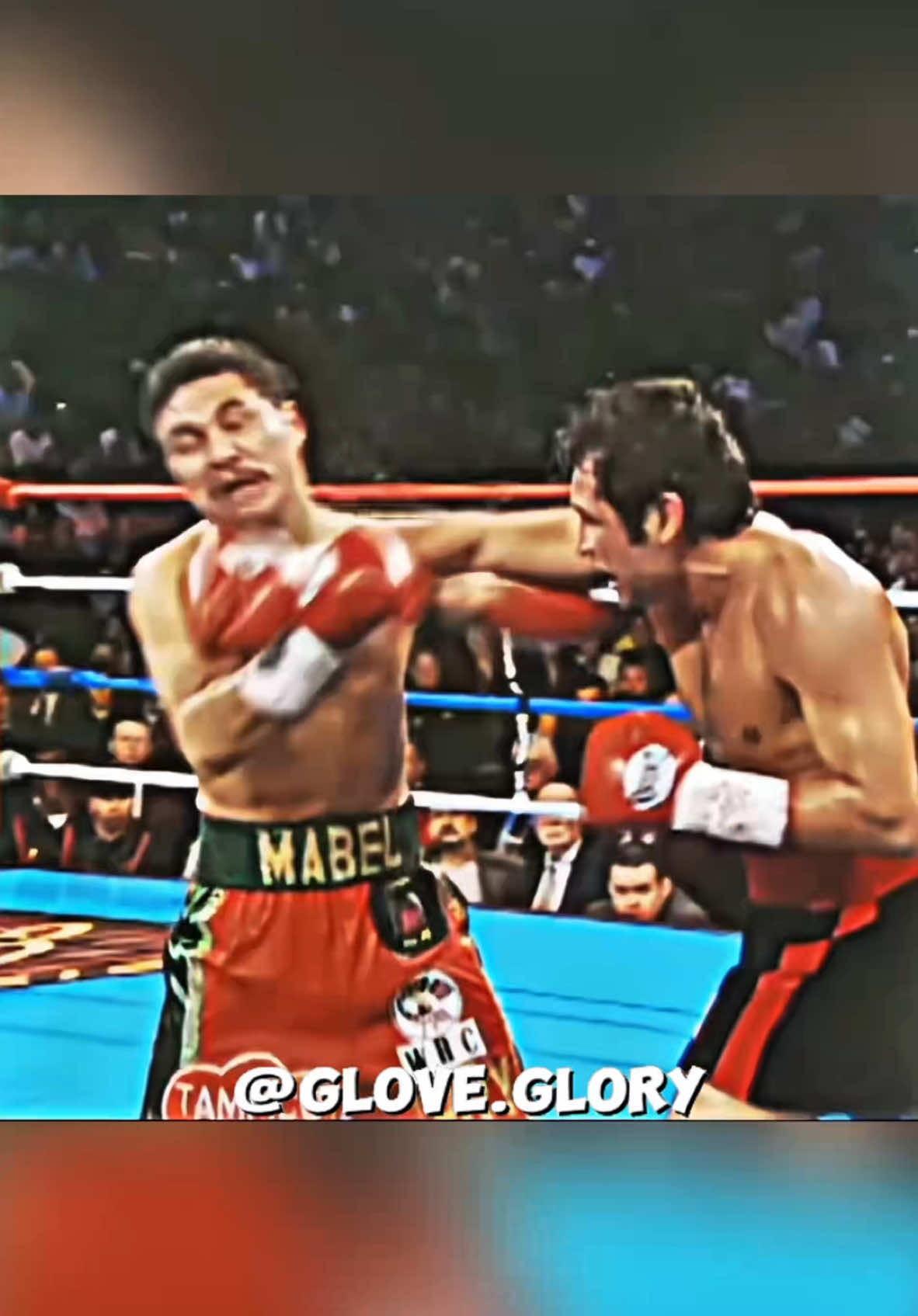 Oscar De La Hoya 🇺🇸 VS Luis Ramon Campas 🇲🇽  #fy #fyp #foryou #boxing #ko #knockout #oscardelahoya #usa #🇺🇸 #gloveglory