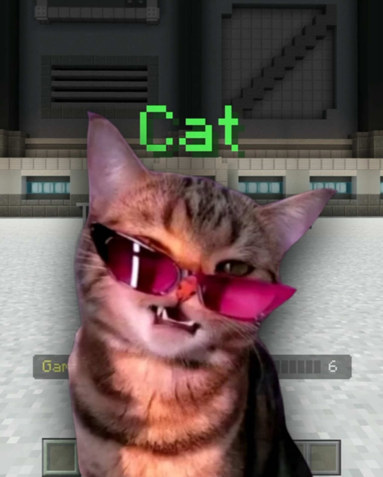 Cat 💅 #minecraftmemes #buildbattle 