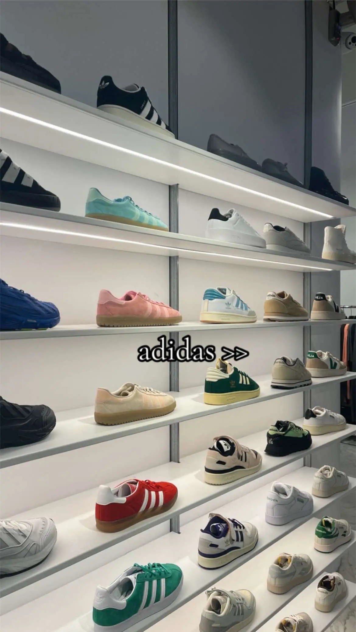 #adidas #adidasoriginals #shoecollection #samba #spezials #gazelle #campus00s #forumlow #foru #Love 