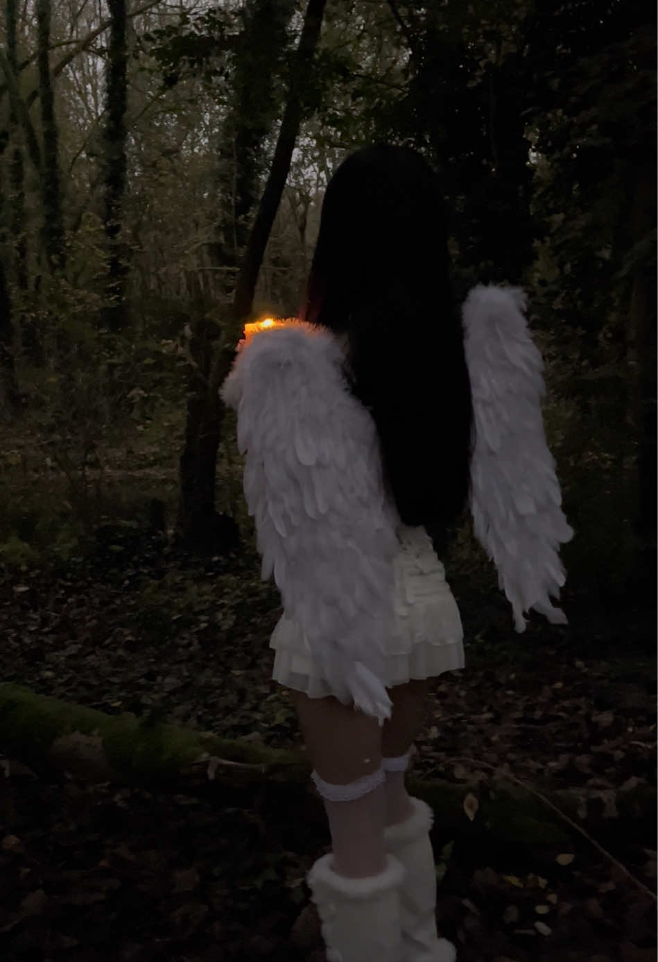 🕯️ #angel #angelcore #dollette #dollcore #dolletteaesthetic #coquette #coquetteaesthetic #gloomy #gloomydollette #gloomyweather #gloomyforest #forest #forestaesthetic #angelwings #girlhood #doll #imjustagirl #ethereal #gloomycoquette #dreamy #aestheticvideos #mood #explore #fyp #foru #foruyou 