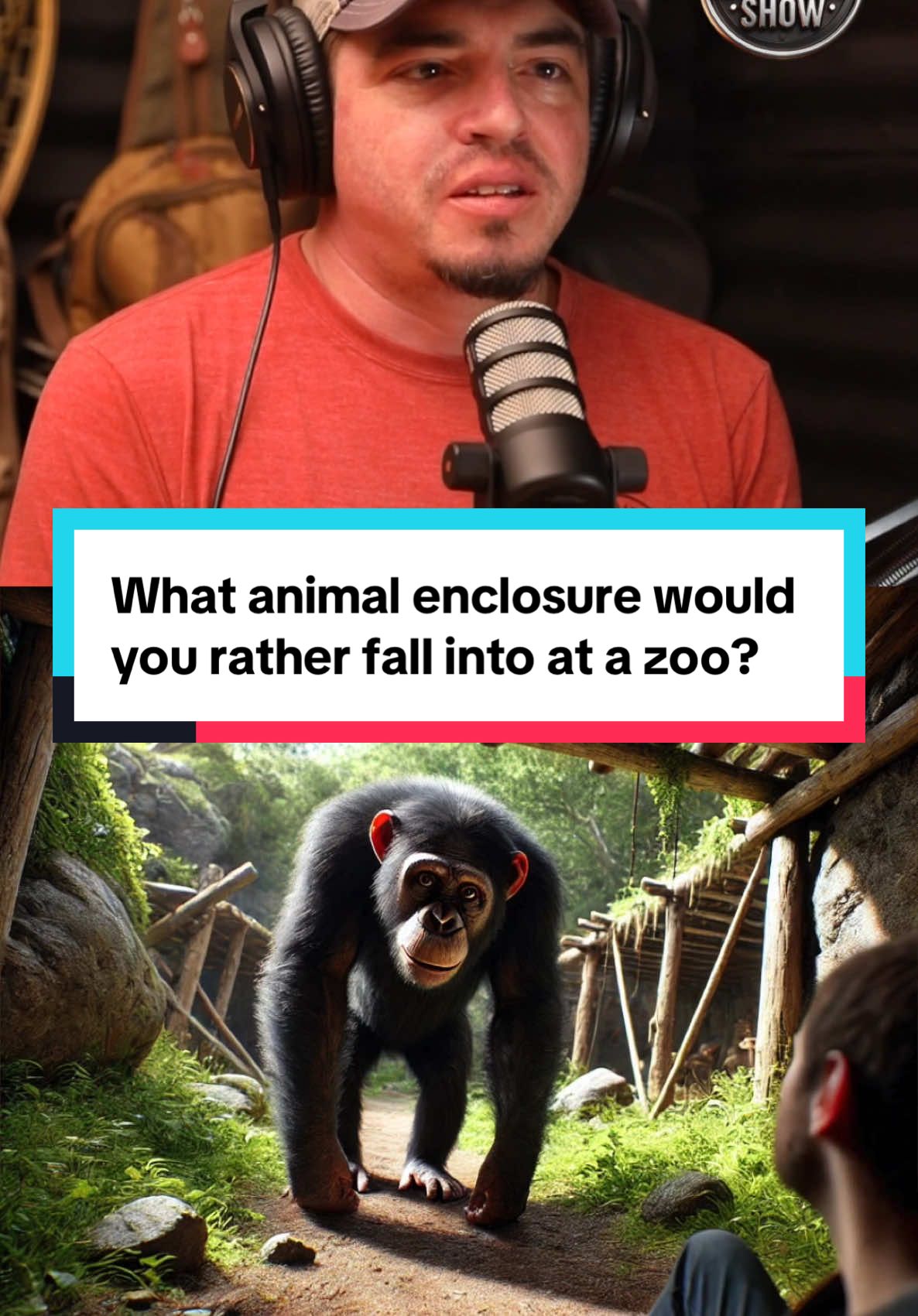 What ANIMAL Enclosure would you rather fall into at a Zoo? The Chimpanzee vs the Hyena? #chimp #vs #hyena #zoo #animalsoftiktok #podcastshow #podcastclips #chimpanzee 