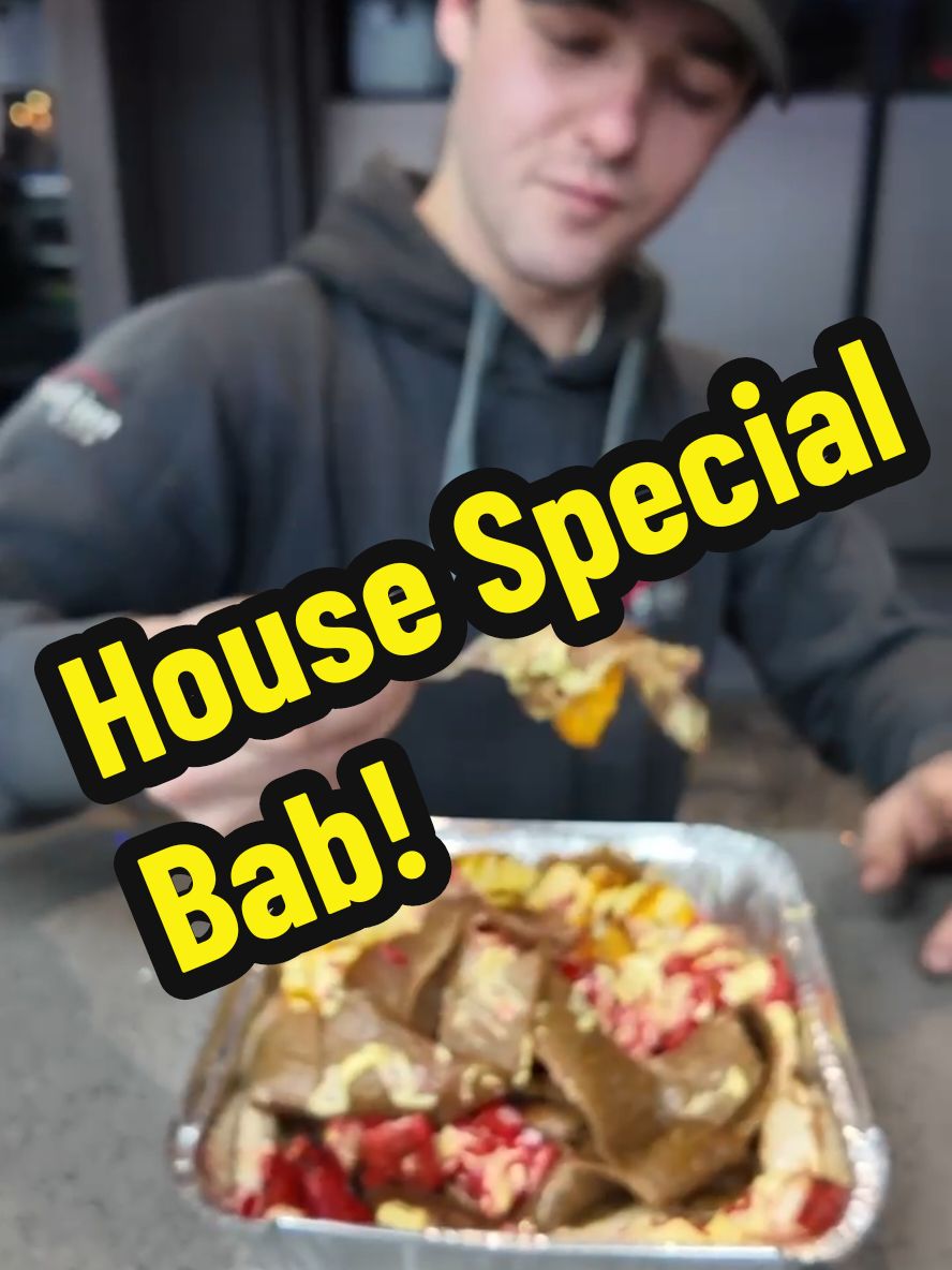 House Special Kebab with Onions and Garlic Mayo