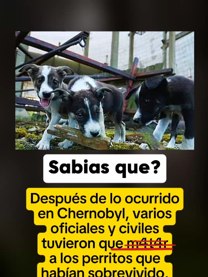 #casosperturbadores #datosmisteriosos #terror #datosperturbadores #miedo😱😱😱 #perturbador😰😰 #perturbador #terrorifico #parati #fypシ #viral 