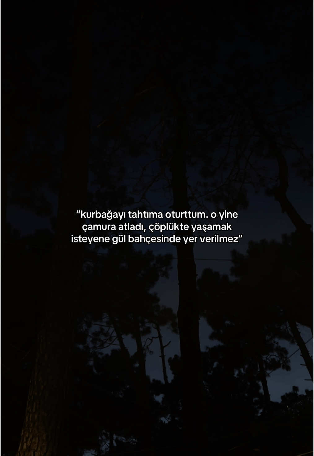 “kurbağayı tahtıma oturttum. o yine çamura atladı, çöplükte yaşamak isteyene gül bahçesinde yer verilmez”