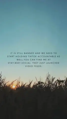 If TikTok lets the US government in though, I'm out. We need to pressure them to open up the international version to US users, regardless of where we are, just like Red Note.