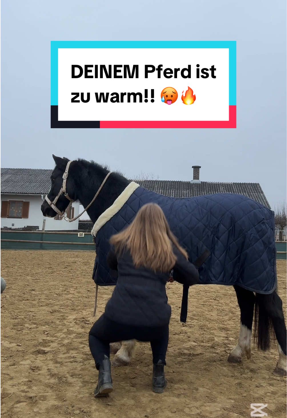 Hast du DAS über Pferde gewusst? 🐴💭 Viele Schutzmechanismen des Körpers helfen Pferden gegen Kälte. So verengen sich etwa bei Kälte die an der Hautoberfläche gelegenen Blutgefäße. Das warme Blut zirkuliert dadurch in tieferen Schichten, während die Hautoberfläche sich auf Umgebungstemperatur abkühlt. Dadurch werden Blut und Körper durch die unter der Haut liegende Fettschicht, die Haut und das Fell besser warmgehalten. Mit meinem Code “Lara10” könnt ihr dauerhaft bei Stallbedarf24 sparen ❤️ #pferdewissen #pferd #pferdedecke #thermoregulation