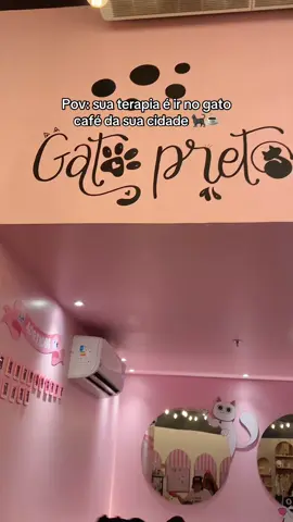 Vocês já foram em um Cat café estilo japonês? #liarosier4 #fyp 