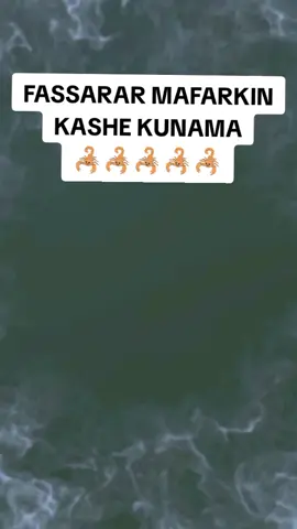Replying to @iamusieey FASSARAR MAFARKIN KASHE KUNAMA 🦂🦂🦂🦂🦂