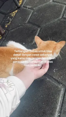It's ok