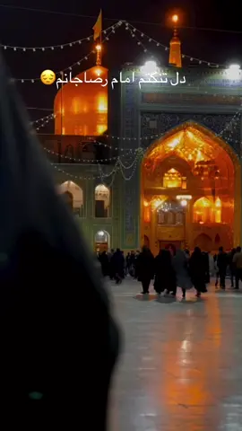 #السلام_علیک_یا_علی_بن_موسی_الرضا_علیہ_السلام🙏💚#capcut 