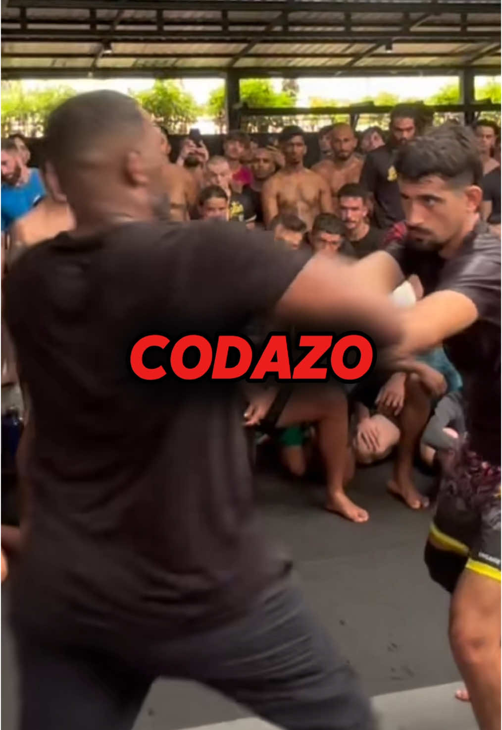 El codazo de Jon Jones💀 #UFC #fighter #pelea #luchador #mma #mmafighter #artesmarciales #jonjones #mcgregor #tyson #tiktok #parati #fyp #viral_video #elbow #punch 