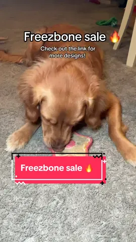 We love enrichment time! Get yours now while they are still on sale 👏🏼👏🏼 @Freezbone @Freezbone USA #freezbone #freezstar #freezbonerecipes #enrichmentfordogs #dogtoy #dogtreat #happydog #forthedogs #onsalenow #durable #dogs #dogfood #enrichmenttime #freezermeals #freezertoy #shopfinds #goldenretriever #dogmom #dogtips #CapCut 