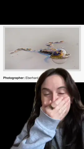 I NEED more context for the winning photo 😂