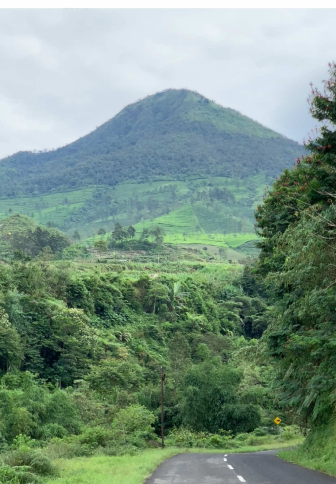 Sebelum ketutup kabut #sindorosumbing #gunungkembang #gunungcilik #wisatawonosobo #dieng #dieng_wonosobo #wonosobo #wisatajateng 