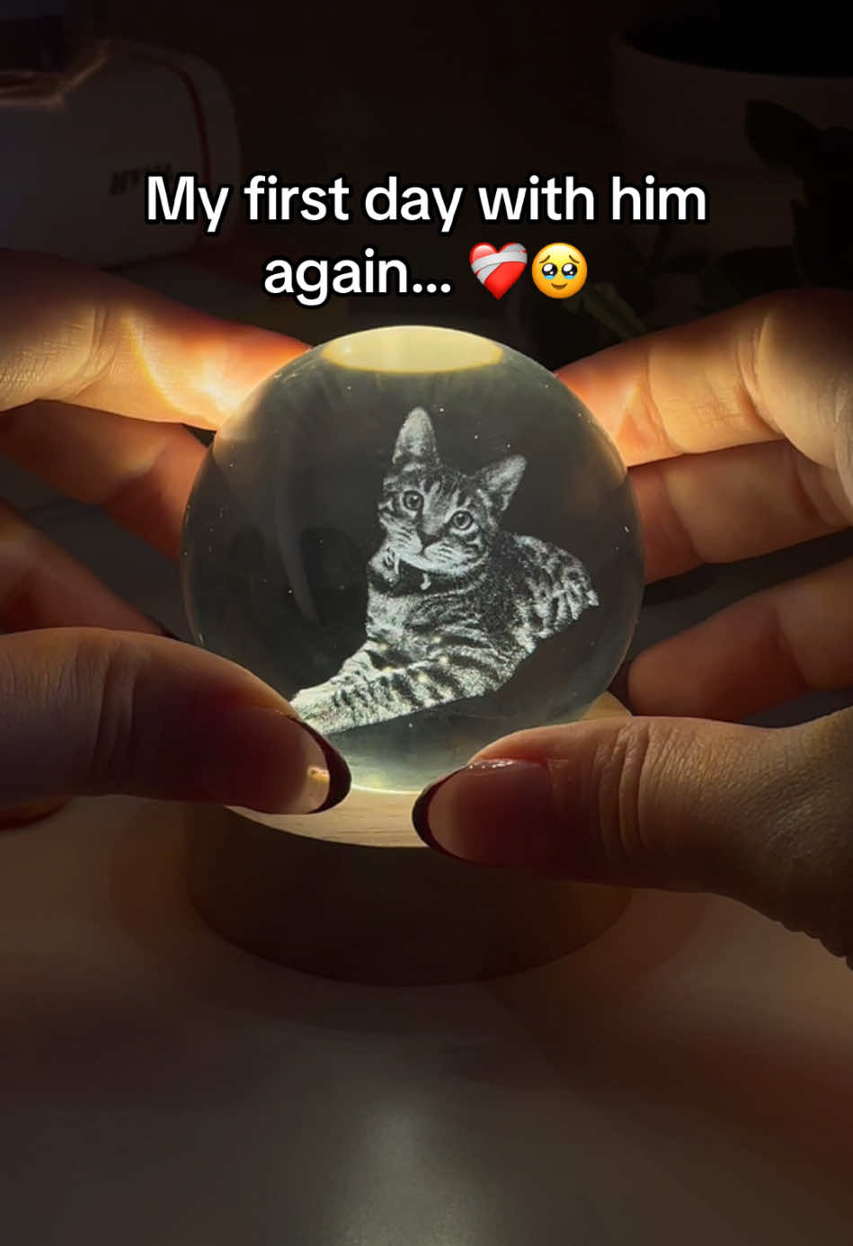 Forever With Me 😭🥰 #pets #giftideas #cats 