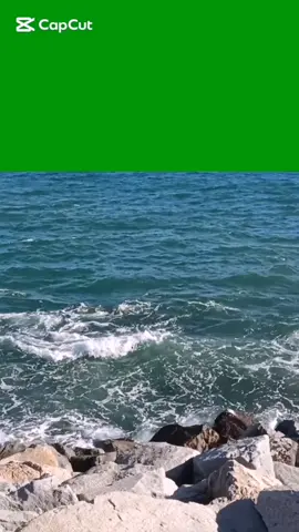 #sea #greenscreen #overlay #videoedits #greenscreenbits #motion #chromakey #seashore #sand #coast #waves #free #capcut #vegas #vfx #greenscreenvideo #greenscreenchallenge 