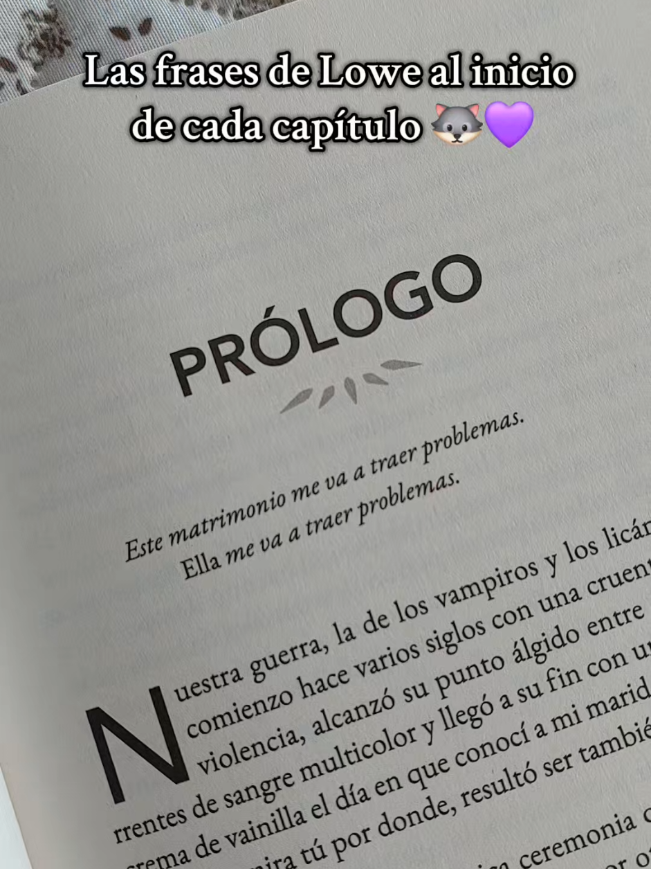 Convenciendote de leer Novia 🦇🐺 Lowe Moreland ❤️‍🔥🐺 es el único que he podido terminar de leer de esa autora y lo amé 🥹 📖: Novia. ~Ali Hazelwood  #likesforlike #bride #alihazelwood #booksalihazelwood #bookrewiew #follow #bookstgram #bookblogger #loweandmisery #bookstagrammerchile #BookTok #followforfollowback #booksbooksbooks #noviaalihazelwood #alihazelwoodbooks #booktagramchile #fyp #wattpad #libroslibroslibros #wattpadforyou #bookrecommendations #booksrecommendations #bookstagramgermany 