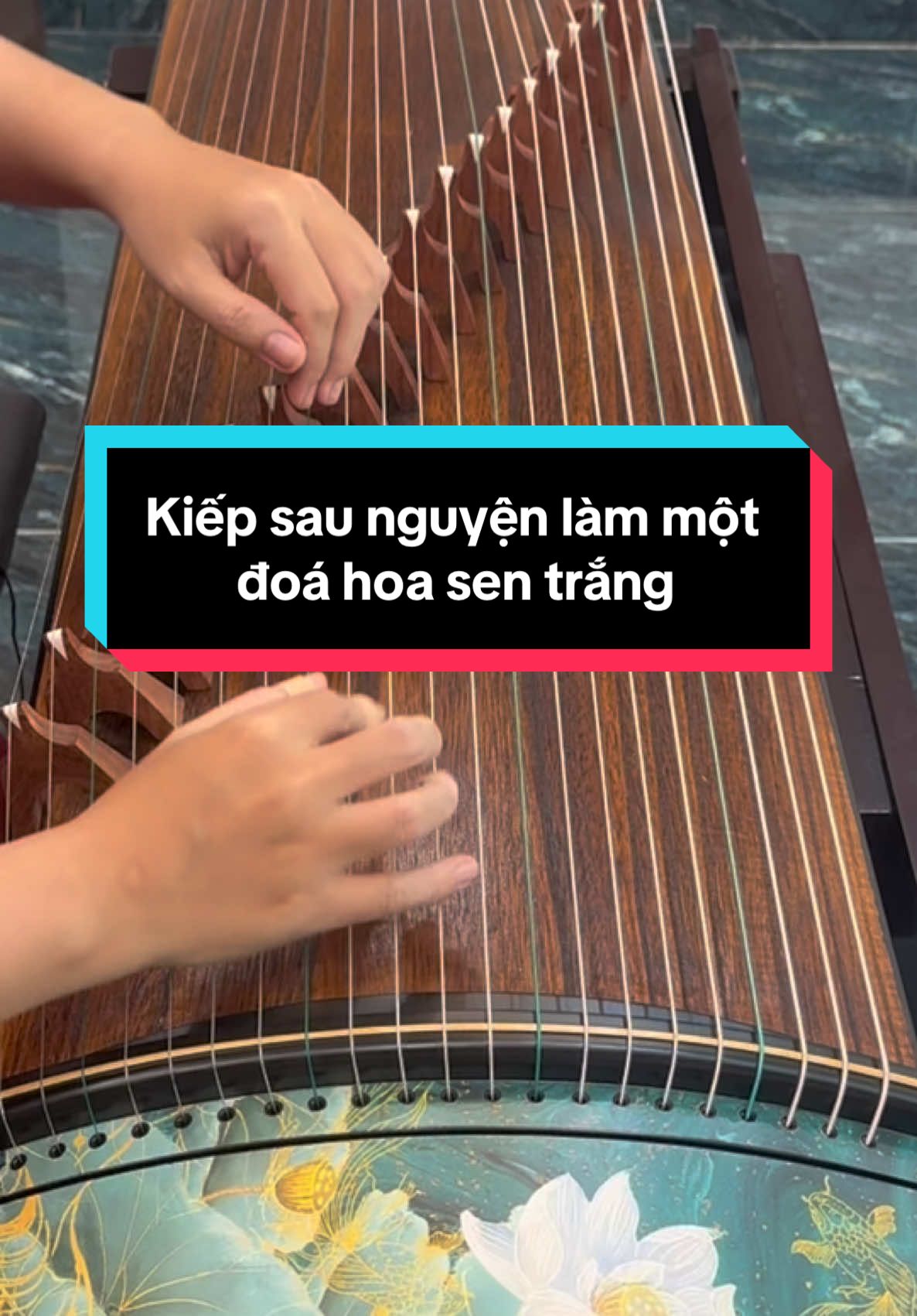 Kiếp sau nguyện làm đoá hoa sen trắng - Guzheng  #kiepsaunguyenlam1doasen  #guzheng #conangthugian #nhacthugian 