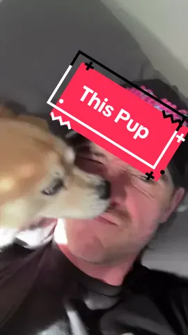 Penny…#Relationship #dog #dogsoftiktok #dogs #dogsofttiktok #PetsOfTikTok 