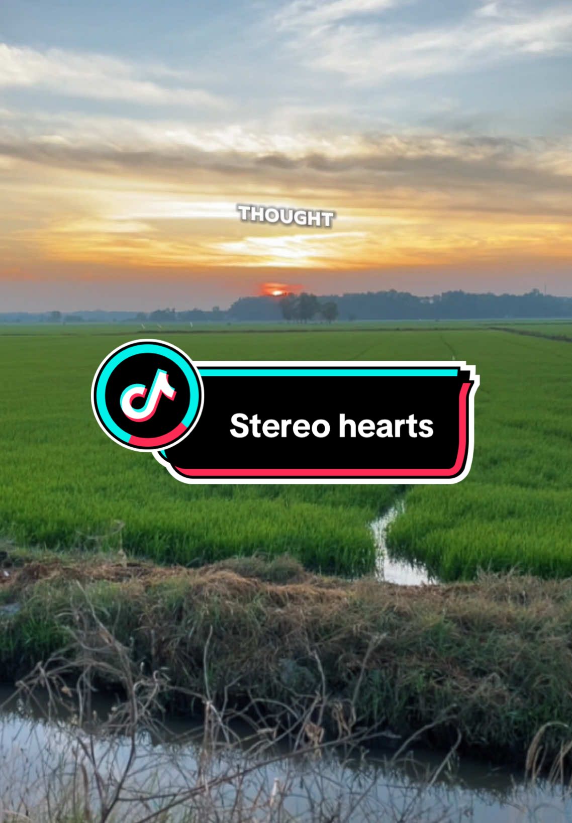 #CapCut Stereo hearts . #capcutvntn #stereohearts 