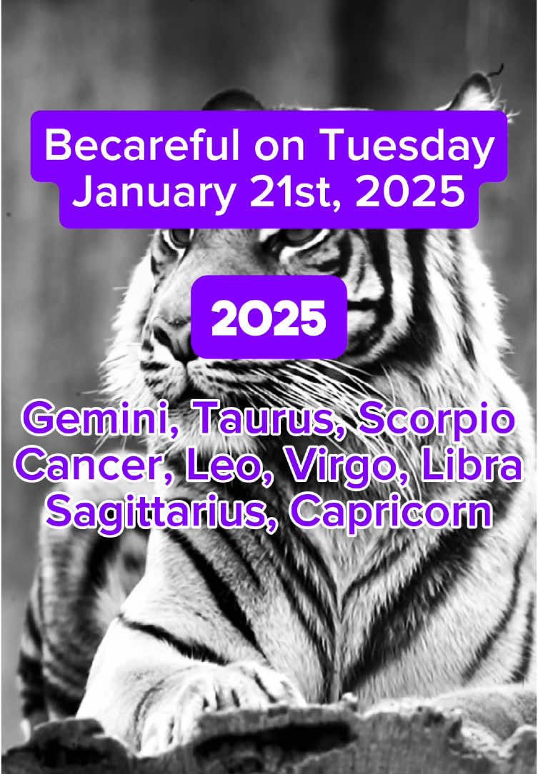 Becareful on Tuesday January 21st, 2025 #zodiacsigns #zodiacs #zodiacsignz #zodiac #zodiacsignsaesthetic #astrology #astrologytok #universemessage 