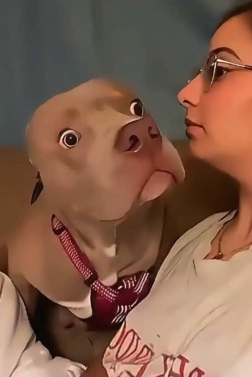 If you learn to talk like a dog,what expression will the dog make?#FUNNY #fyp #fypシ #interesting #dogsoftiktok #dogslover #funnyvideos #doglover #cute 