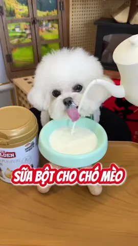 Sữa bột cho chó mèo. Bổ xung dinh dưỡng cho các bé #cute #cutedog #puppydog #puppy #doglover #animals #fyp #dog #pet 