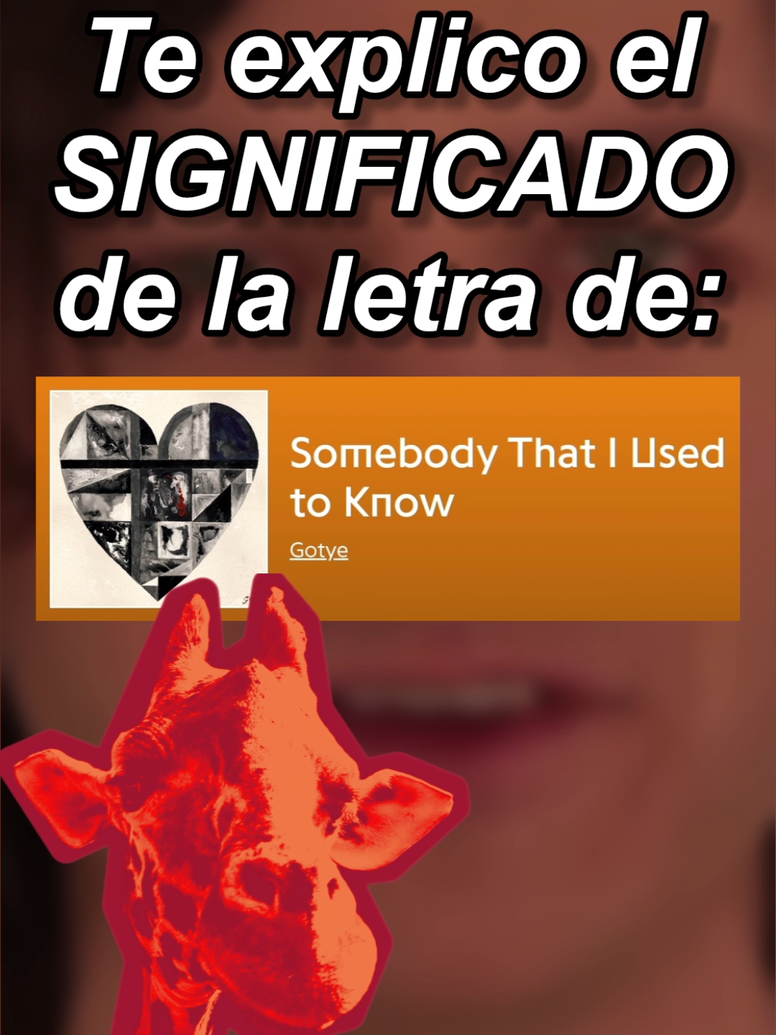 El significado de Somebody That I Used To Know #somebodythatiusedtoknow #gotye 1#musica #significados #letras #memes #humor #shitposting #parati