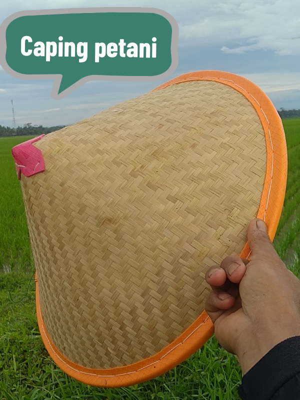 Caping petani cuma 10rbuan #caping #capingpetani #capingmurah #sawah #petanitradisional #petaniindonesia 