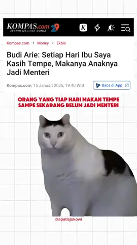 Mungkin bisa dicoba buat yang nggak suka tempe, siapa tau jadi menteri #tempe #protein #indonesia #pemerintah #politik #apatispolitik #beritapolitik #viral #trendingreels #fyp #foryourpage #viral #xyzbca