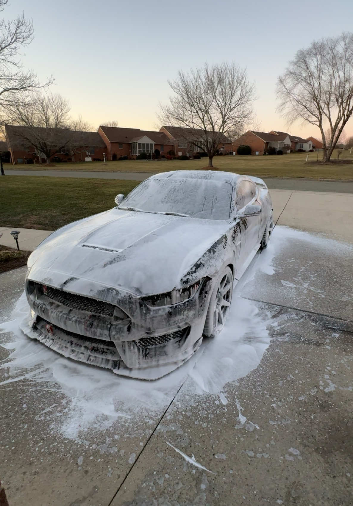 Come Wash my car with me…kinda😂 • • • #foryou #foryoupage #foryourpage #mustang #mustanggt #gt350 #gt500 #ford #wash #cars #car #carsoftiktok 