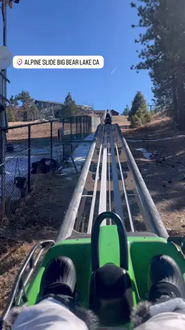🐻❄️