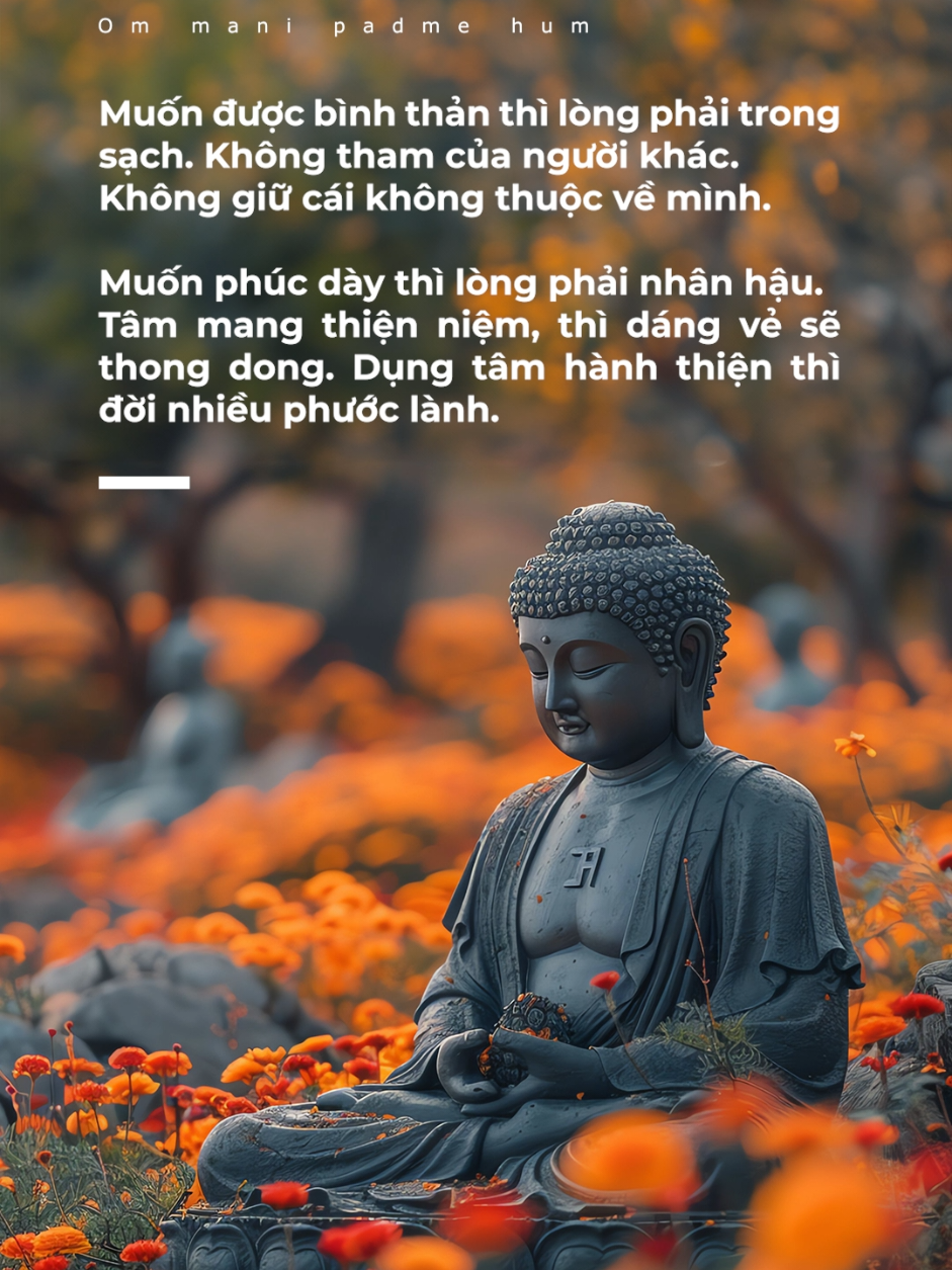 #phatgiao #buddha #daophat #phatphap #ommanipadmehum #nammoadidaphat #hanhphuc #chualanh 