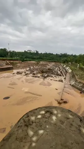 JALUR SUNGAI BERUBAH, di desa Krompeng Talun. 21/01/2025  jalur sungai yang berubah di desa Krompeng Talun tadi malam berubah dikarenakan air bah kiriman dr Petungkriyono dan beberapa hari hujan lebat, sehingga mengakibatkan berubahnya jalur sungai, jalur yang berubah menelan persawahan warga sekitar.  semoga diberikan kesabaran. #prayforpekalongan #pekalongan #airbah #fyp #banjir #bencana #pekalongan #beritaviral 