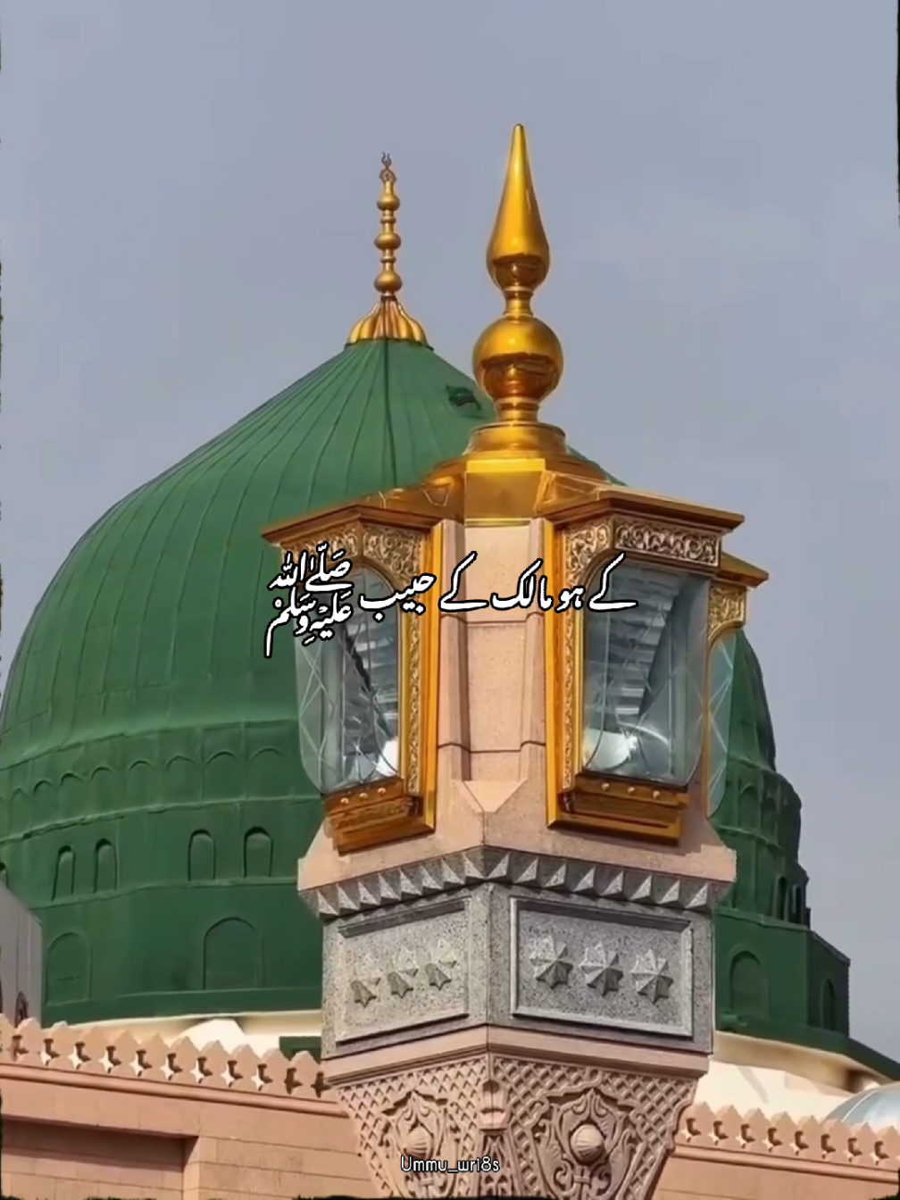 یعنی محبوب ﷺ محب میں نہیں میرا تیرا 🥺✨💞❤️،#unfrezzmyaccount #fyppppppppppppppppppp #standwithkashmir #onemillionaddition #explore 