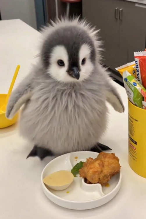 The penguin is happily  · · · · · #creative #AI #new #funny #fun #new #cute #interesting #Penguin #yomeedoll #healing 