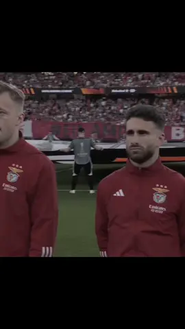 sende toparlan bee #rafasilva #benfica #kesfet 