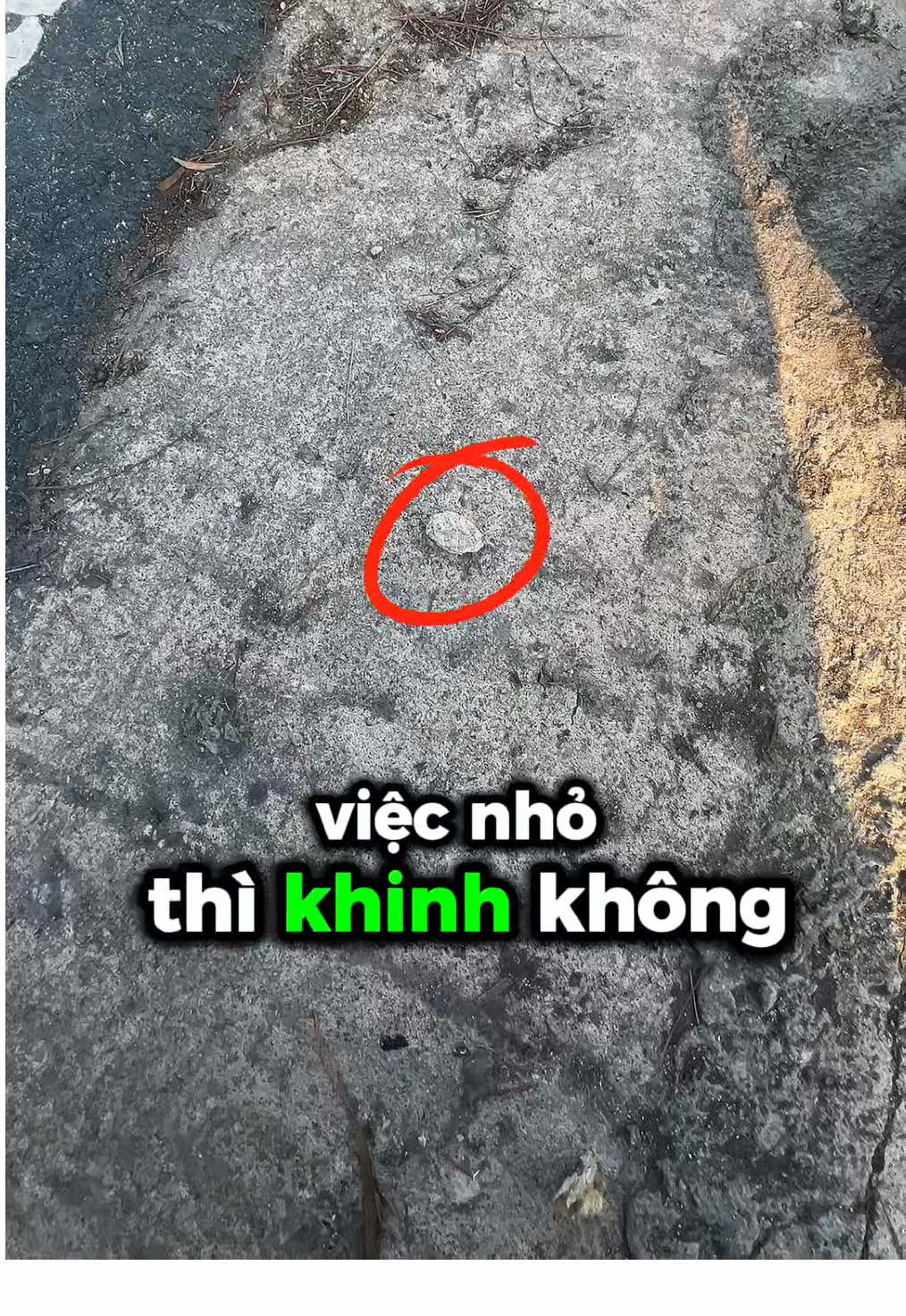 Việc linh tinh thì rất nhiệt tình