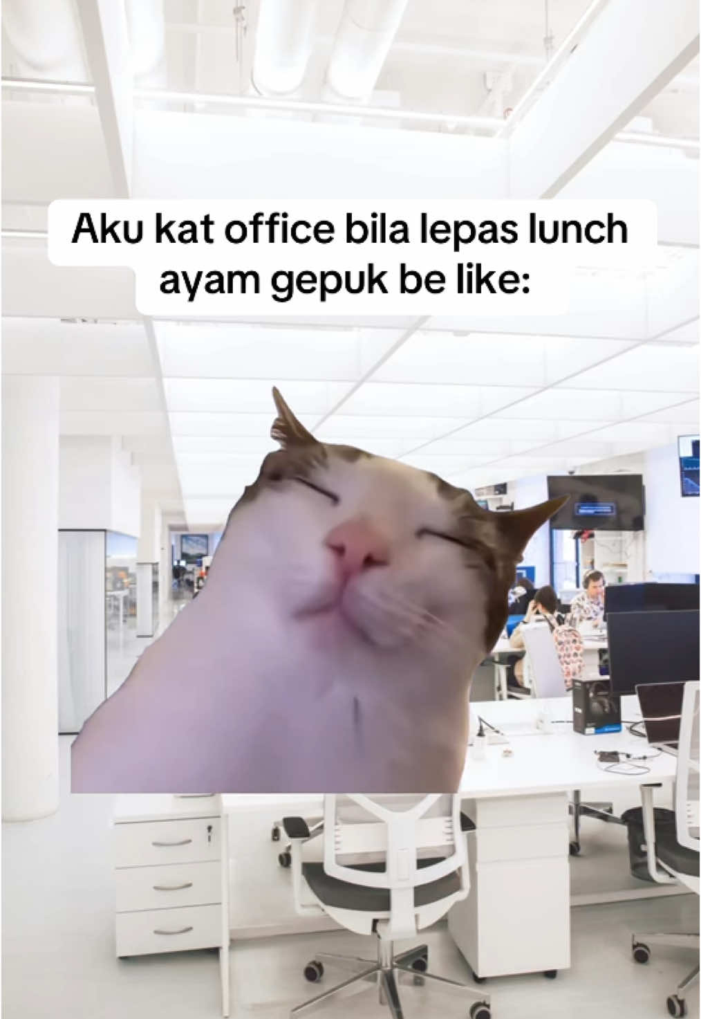 After lunch be like: #Meme #MemeCut #memenatal 