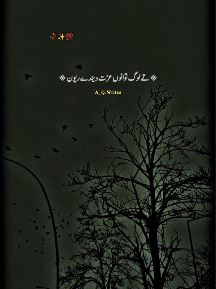 سمجھ آئی....؟ #foryou #lines #abdulqadirwrites 